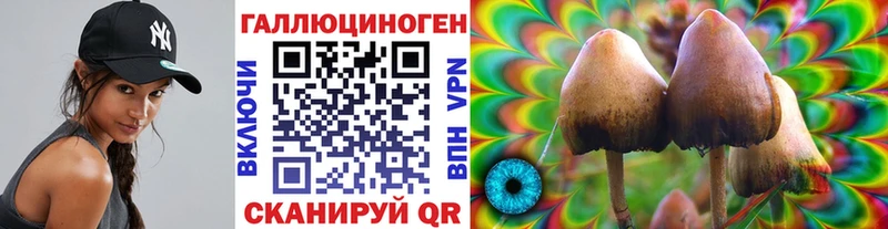 хочу   Карачаевск  Псилоцибиновые грибы Psilocybe 