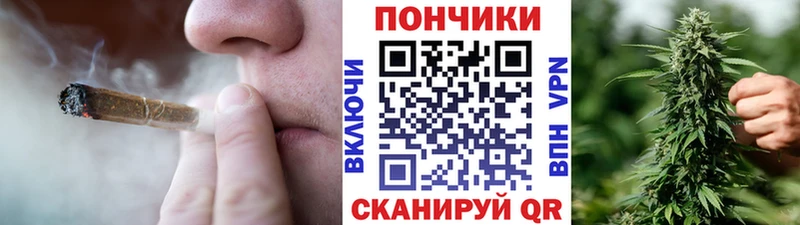 даркнет сайт  Карачаевск  Канабис сатива 